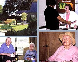 Nursing Homes in Bedford Nursing Homes in Bedford