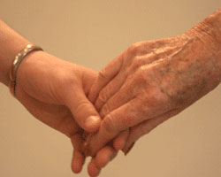 Palliative Care Nursing Homes